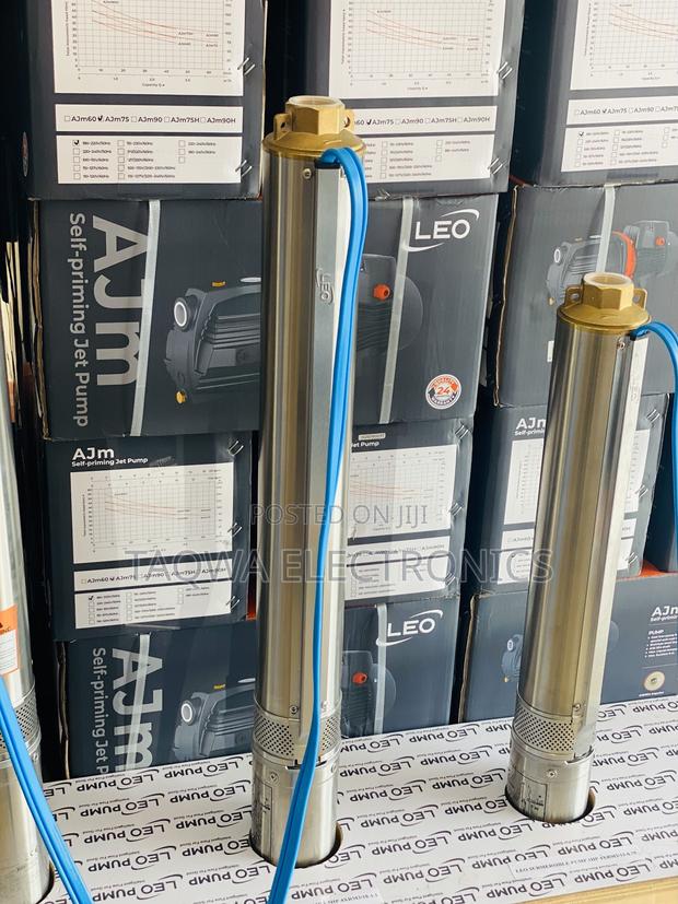 Leo 4xrm3/22-1.5 Borehole 2hp Pump · Photo 1