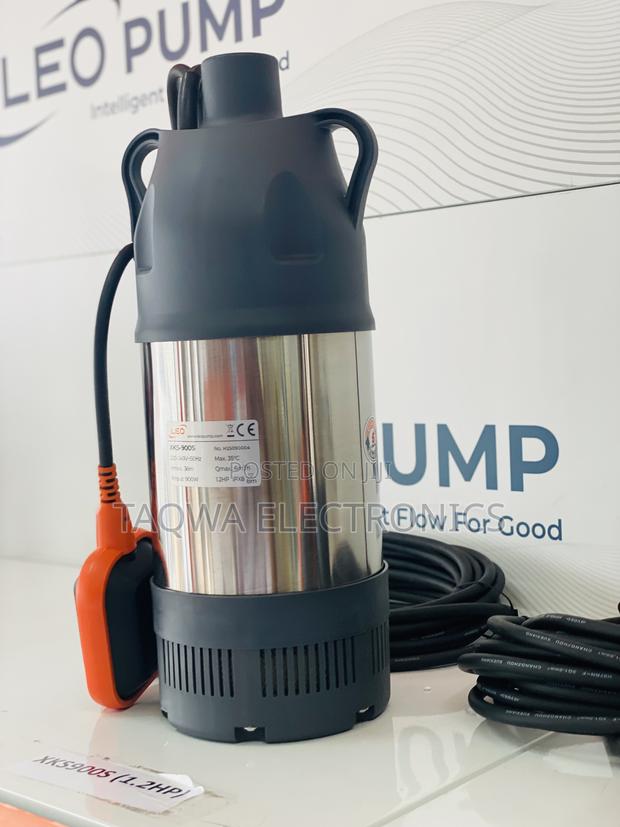 900 W Leo 1.2hp Water Pump · Photo 1