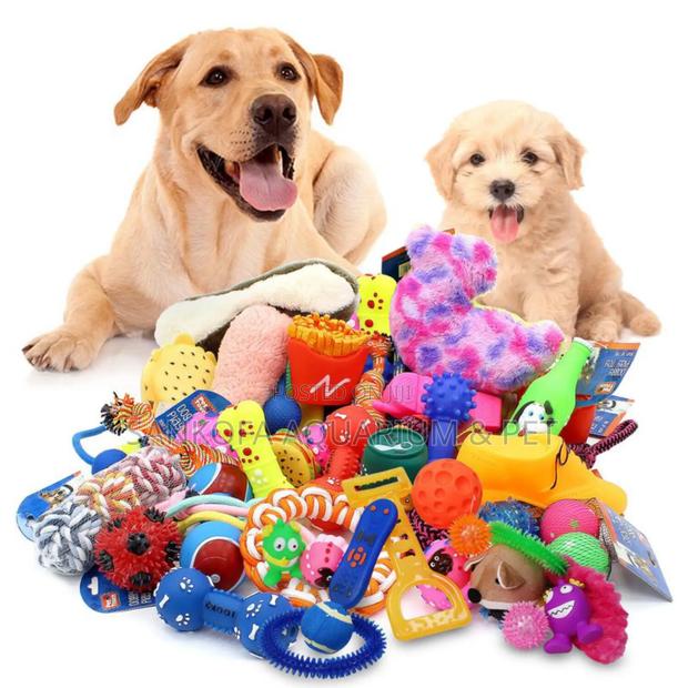 Quality Dog Play Toy · Photo 1