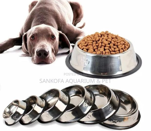Quality Dog Bowl for All Types of Dogs · Photo 1