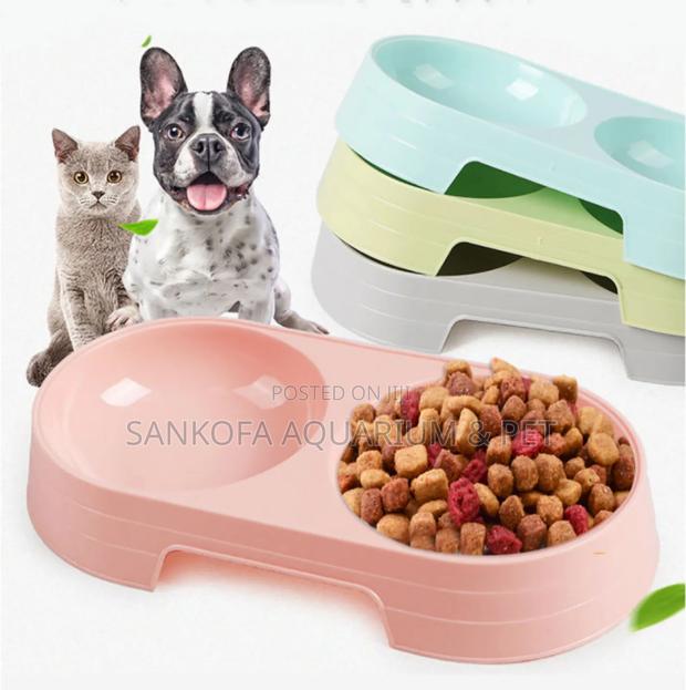 Quality 2 in 1 Pet Bowl · Photo 1