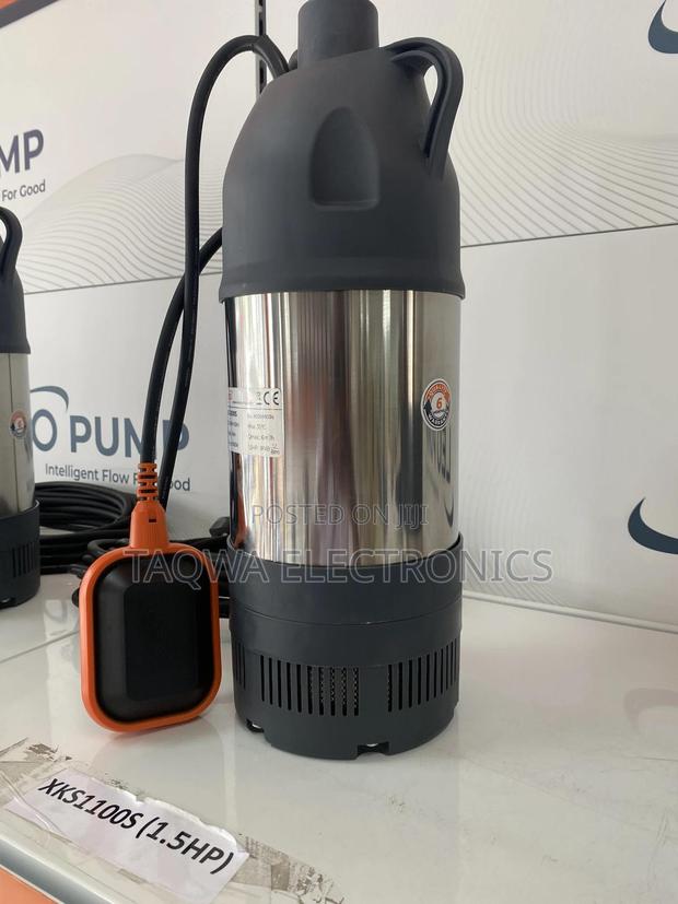 In Stock-Leo 1.5hp Submersible Pump · Photo 1