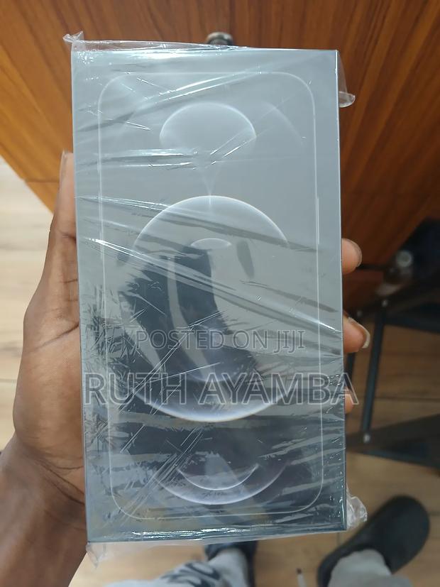 New Apple iPhone 12 Pro Max 256 GB Gray · Photo 1