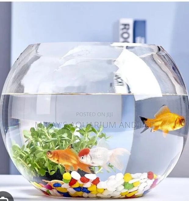 Packaged Aquarium · Photo 1