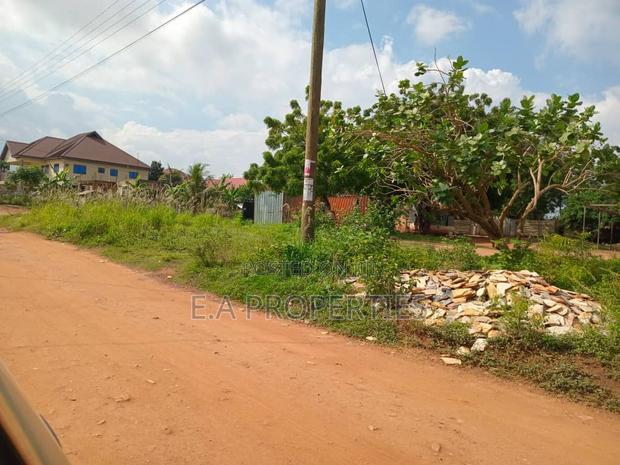 Land for Sale · Photo 4