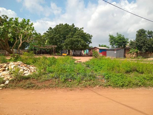 Land for Sale · Photo 5