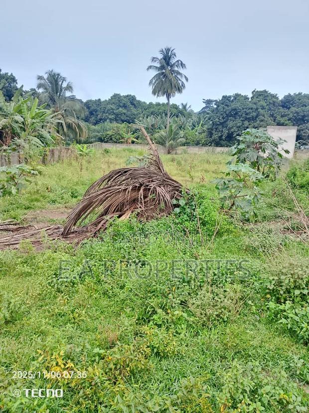 Land for Sale · Photo 5