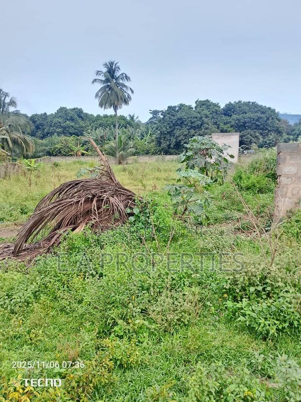 Land for Sale · Photo 6