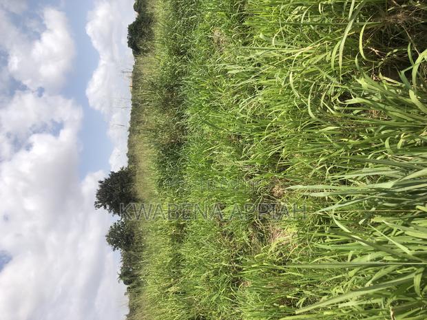 Plot of Land Is on Sales at Durban and Kasi Areas · Photo 4