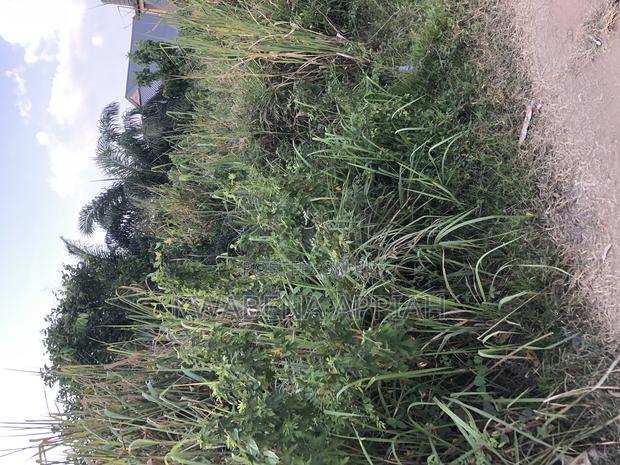 Plot of Land at Atonsu Feyiase Is on Sales · Photo 3