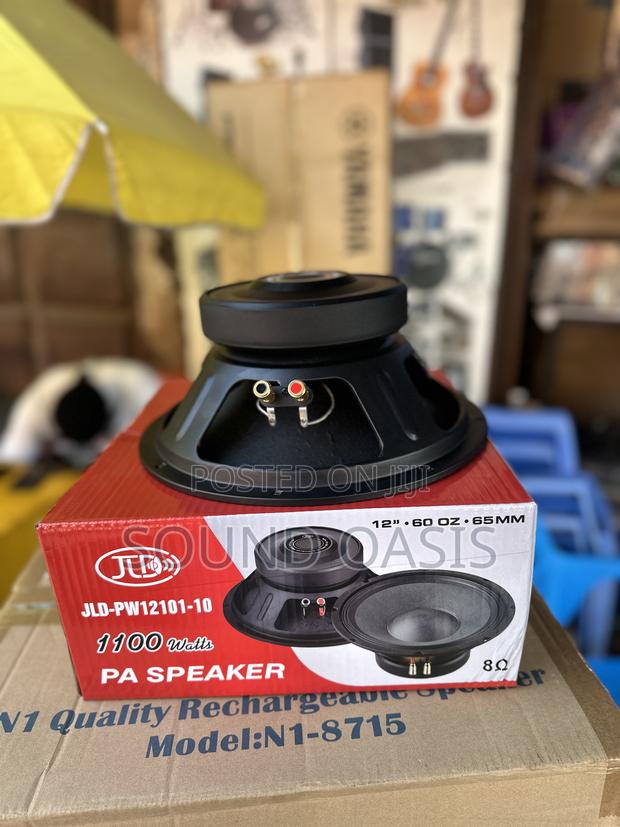 Jld-pw12101-10 Pa Speaker(12 Inches Naked Speaker /Pair) · Photo 1