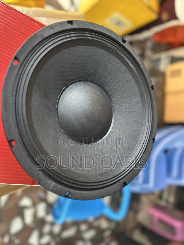 Jld-pw12101-10 Pa Speaker(12 Inches Naked Speaker /Pair) · Photo 3