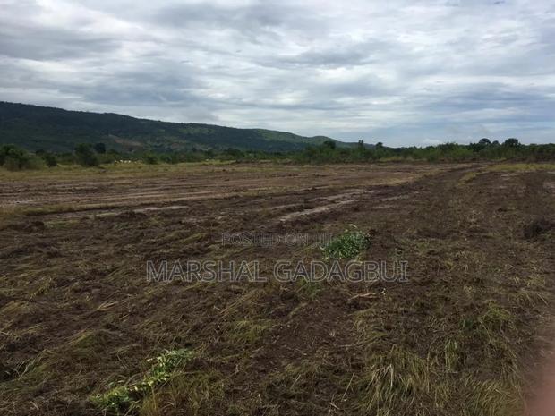 4 Acres Titled Land at Ayikuma (Mountain View) · Photo 3