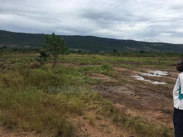 4 Acres Titled Land at Ayikuma (Mountain View) · Photo 6