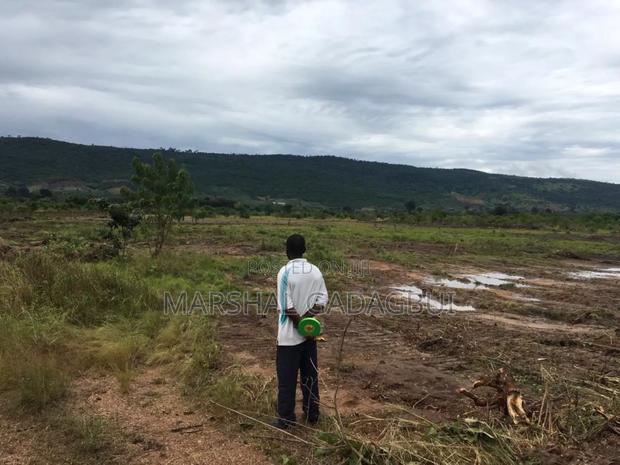 4 Acres Titled Land at Ayikuma (Mountain View) · Photo 7