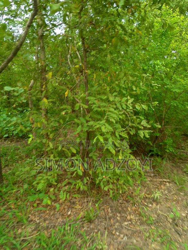 30,000 + Acres Of Farm Land Close To Water · Photo 1