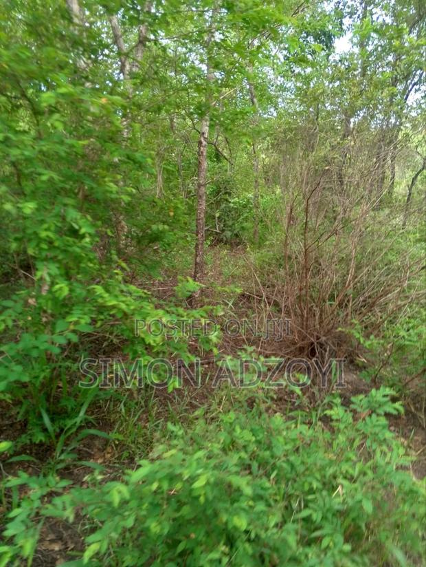 30,000 + Acres Of Farm Land Close To Water · Photo 3