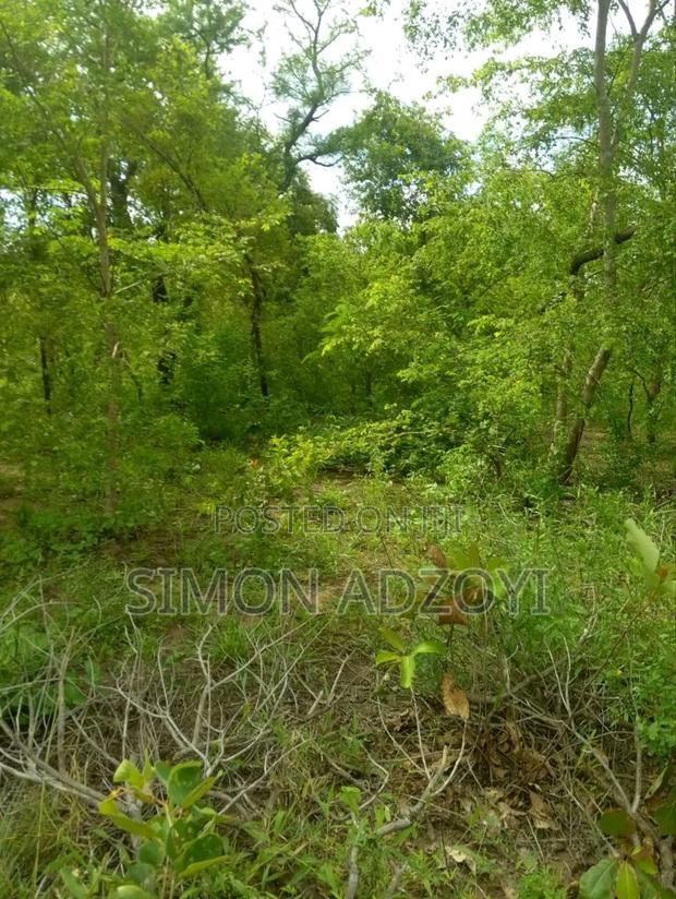 30,000 + Acres Of Farm Land Close To Water · Photo 4