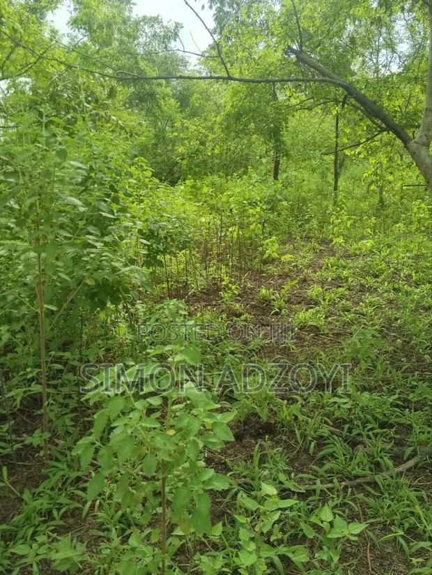 30,000 + Acres Of Farm Land Close To Water · Photo 5
