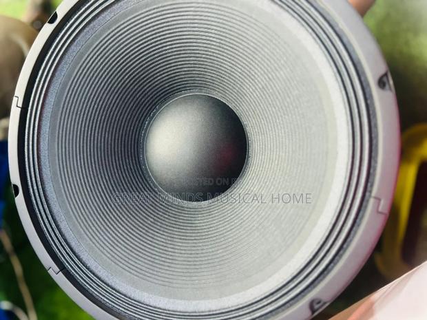 GLS 15 Inches Naked Speakers · Photo 2