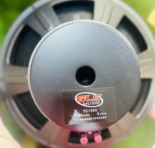 GLS 15 Inches Naked Speakers · Photo 1