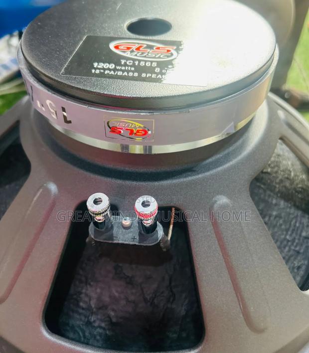 GLS 15 Inches Naked Speakers · Photo 3
