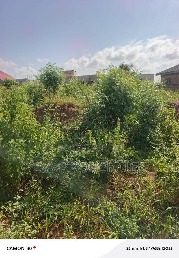 Land for Sale · Photo 8