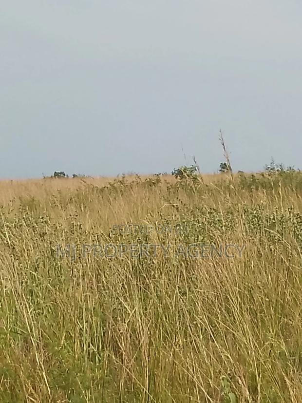13 Acres Roadside Industrial Plot Prampram · Photo 2