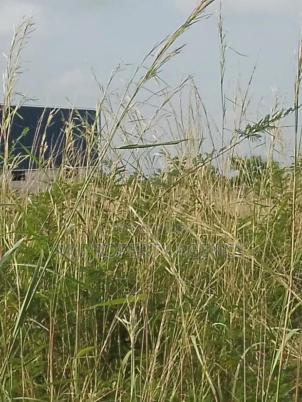 13 Acres Roadside Industrial Plot Prampram · Photo 3