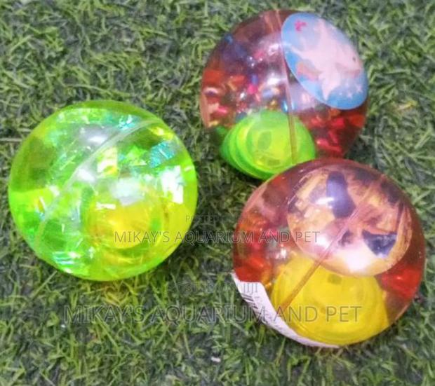 Silicon Play Ball Toy for Dogs · Photo 1
