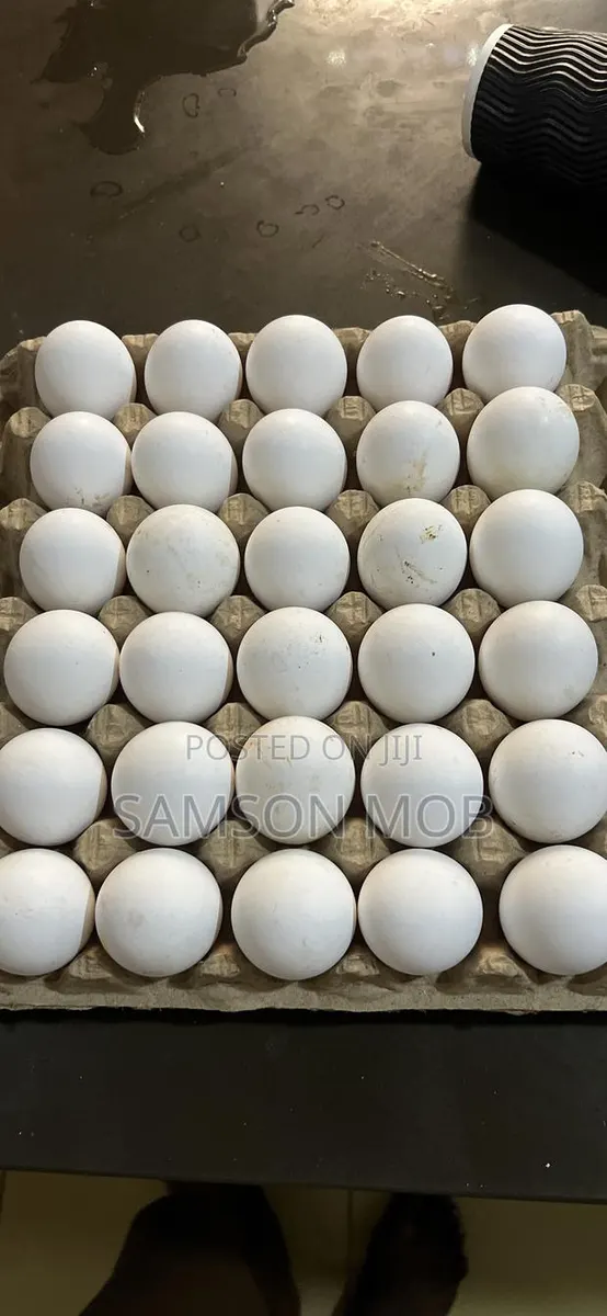 Egg Wholesale M · Photo 1