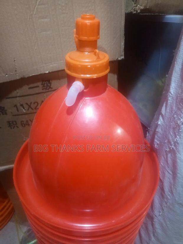Bell Drinker Medium Jumbos · Photo 1