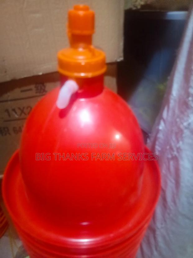 Bell Drinker Medium Jumbos · Photo 2
