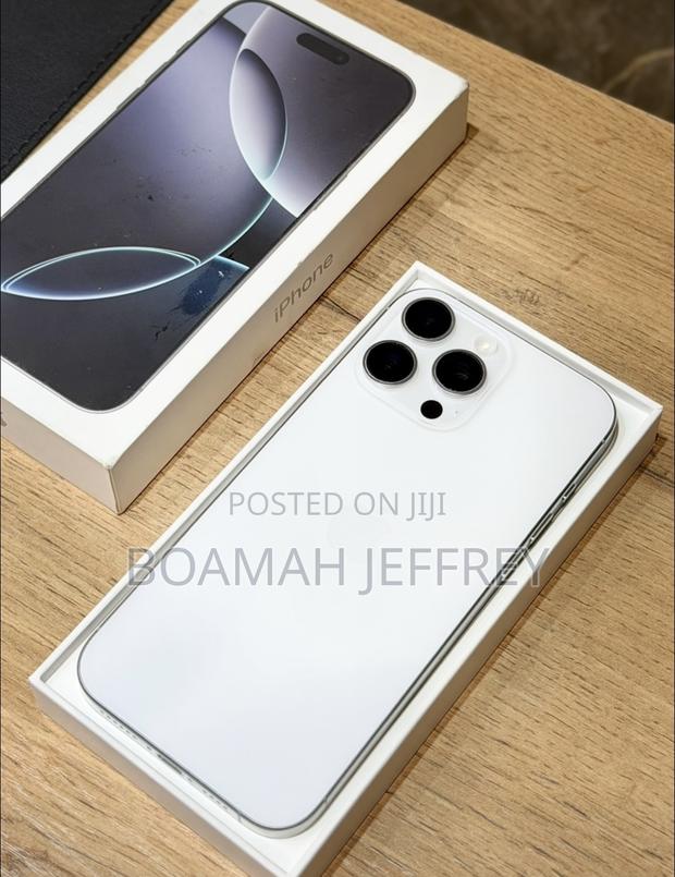 Apple iPhone 16 Pro Max 256 GB Silver