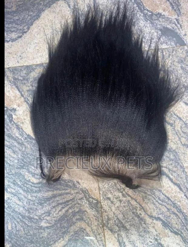 Full Lace for Braided Wig · Photo 1