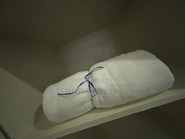 Furnished 1bdrm Apartment in Stepup Apartment, East Legon for rent · Photo 5