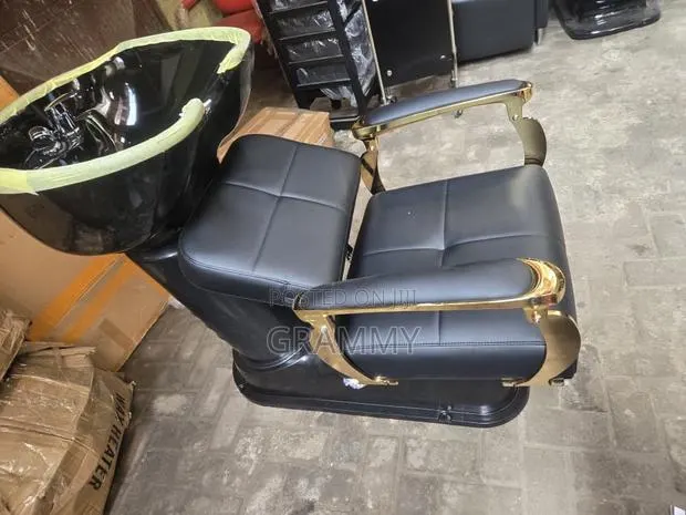 Hair Washing Basin Luxury Chair · Photo 1