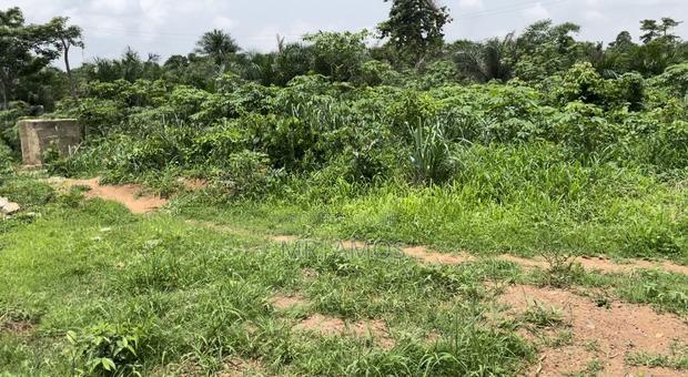 Registered Plots of Land at Afienya Shai Hills(70x100) · Photo 3