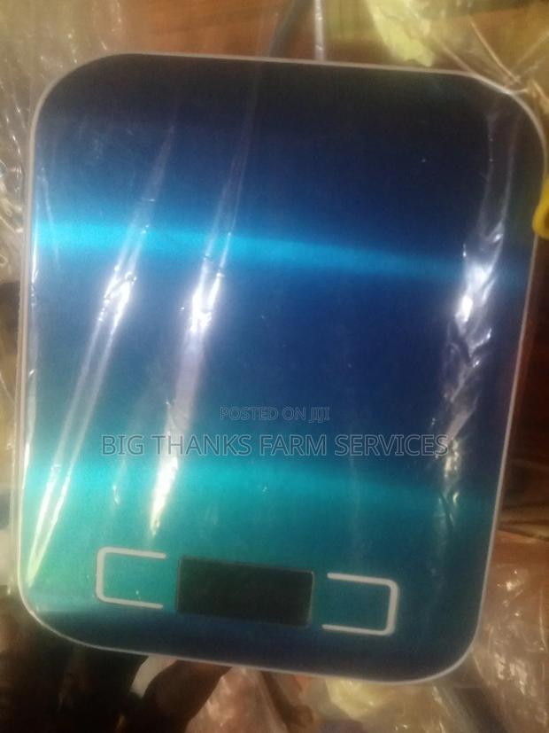Scale For Weighing Poultry And Other Stuffs · Photo 1