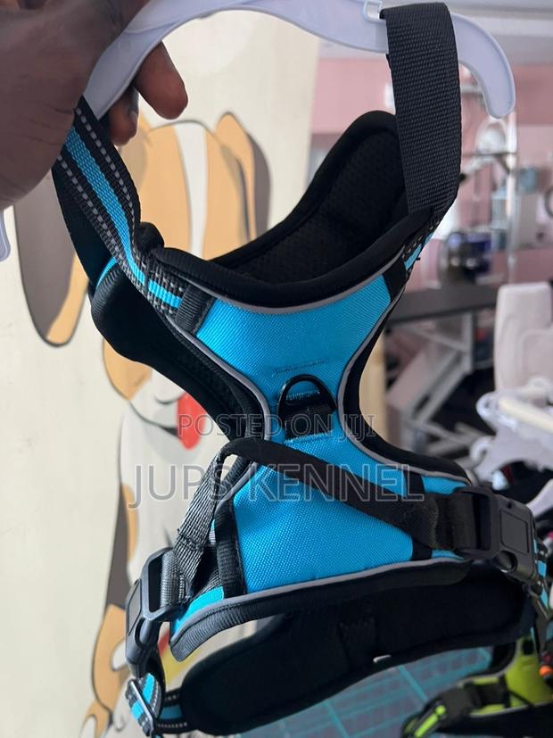 Dog Harness · Photo 4
