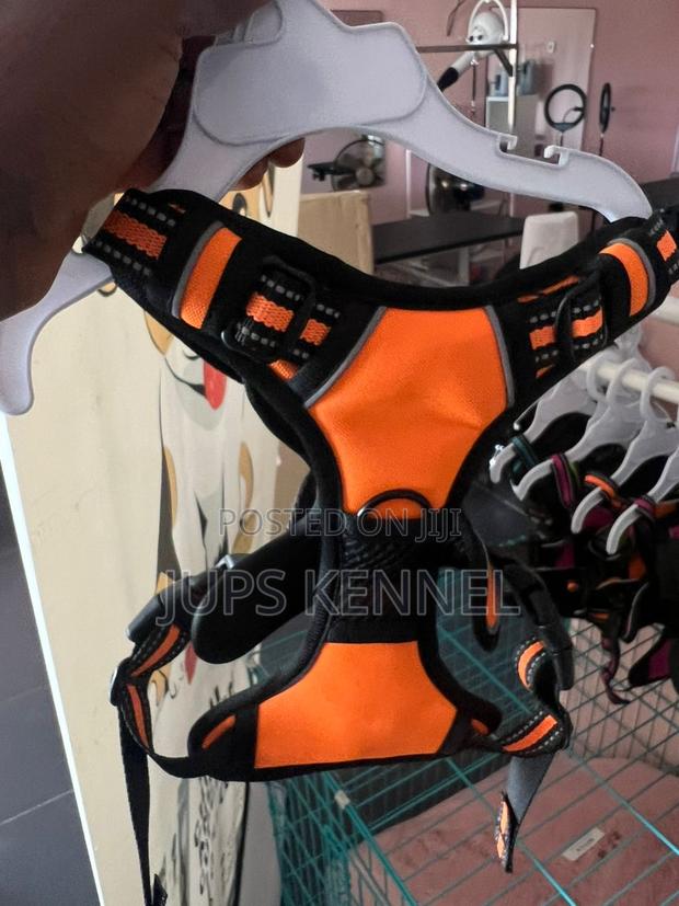 Dog Harness · Photo 2