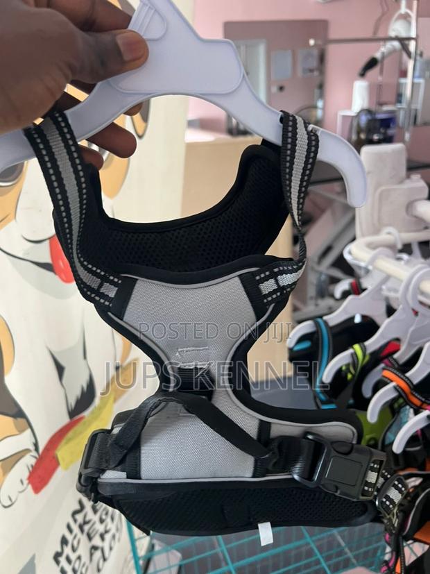 Dog Harness · Photo 3