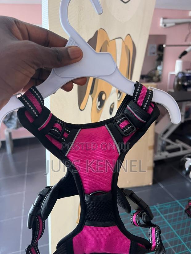 Dog Harness · Photo 5