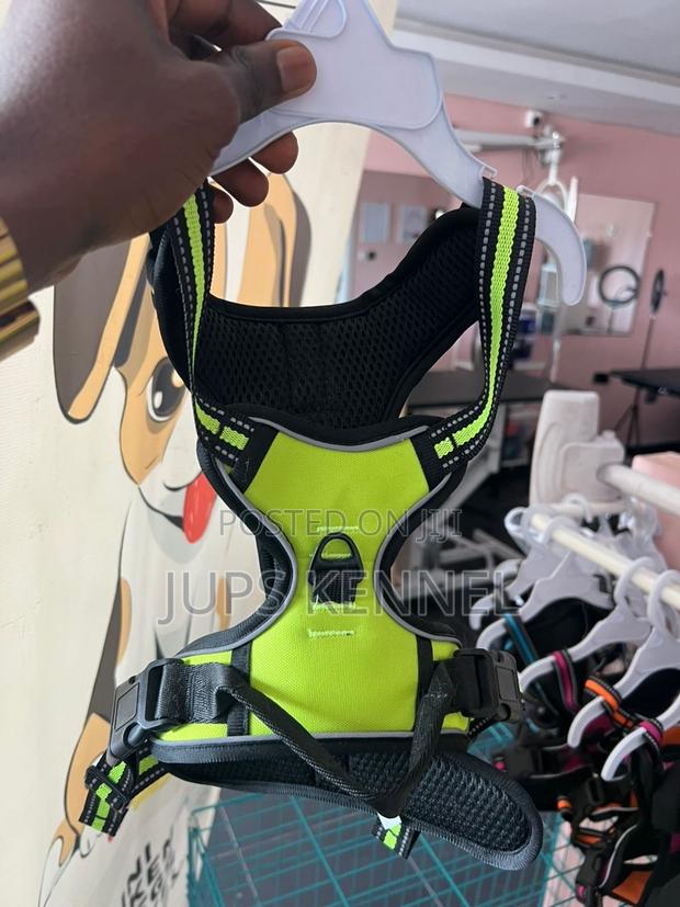 Dog Harness · Photo 1
