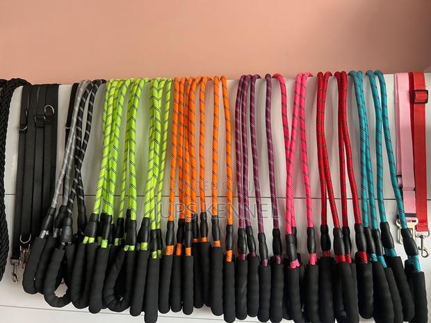 Dog Leashes · Photo 1