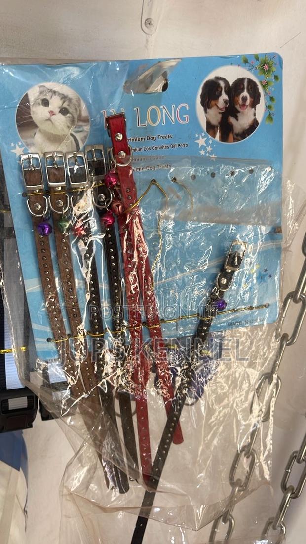 Cat and Dog Collar · Photo 1