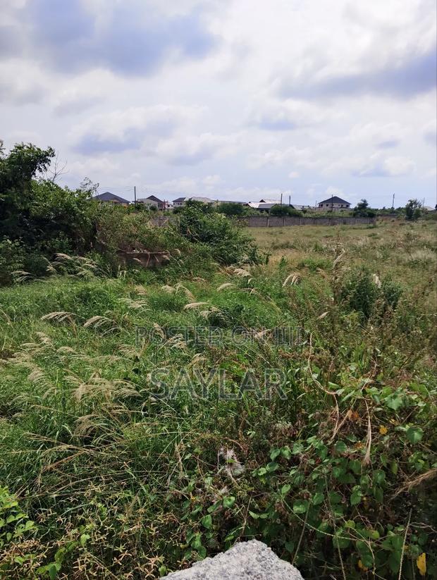 2 Plots Fenced With Gate for Sale at Comm24 Well Paved Roads Area · Photo 3