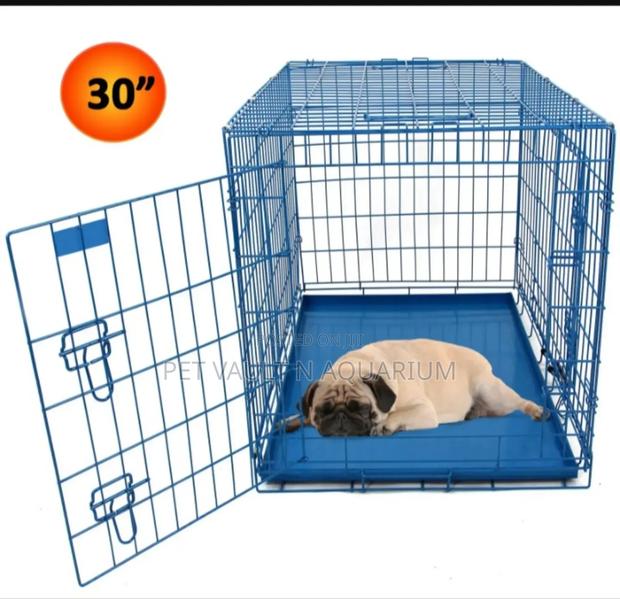 Metallic Dog Cage · Photo 2