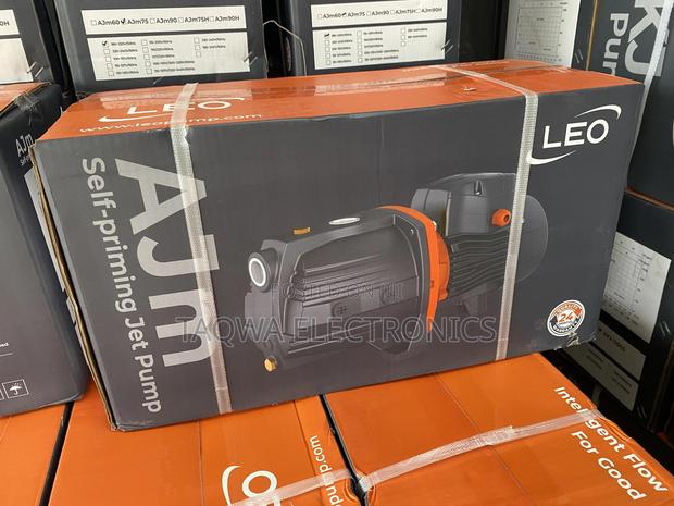 Smooth Leo 2hp Cast Pump · Photo 1