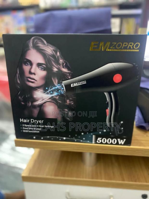 Professional Hair Dryer · Photo 2